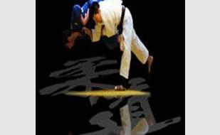 VIII открытый открытый украинский турнир по борьбе дзюдо среди юношей в честь В.А. Пироженко