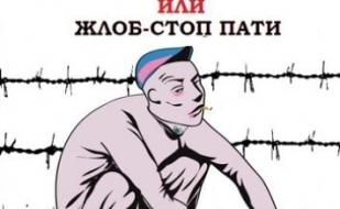 SUDA IDI или ЖЛОБ-СТОП пати