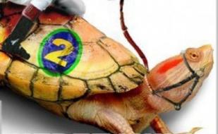 Черепашьи бега