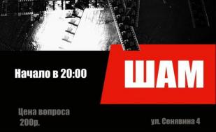 Группа «Шам» в арт-клубе «Артишок» 17 декабря 2014