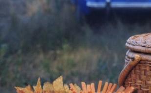 Seasons: part 2. Spring. ECO PICNIC