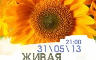 ЖИВАЯ ПЯТНИЦА в Lounge Cafe MONTANA 31 мая 2013