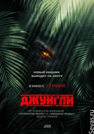 Джунгли