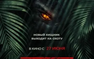 Джунгли