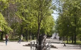 Круглый стол на тему: «Общественность на защите зеленых насаждений»