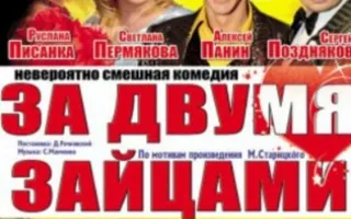 За двумя зайцами комедия