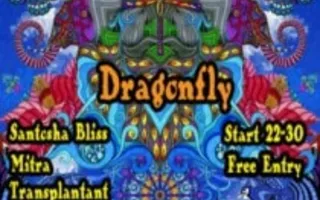 Sabotage Promo Party «Dragonfly» в баре Spot
