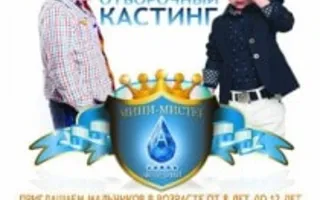 Кастинг конкурса «Мини-мистер Аквамарин» - осень 2013