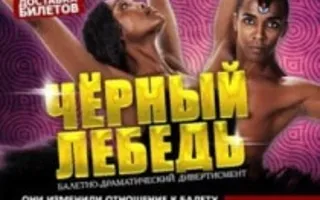 Балет «Чёрный лебедь» в УКИЦ - 26 ноября 2013