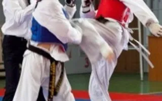 2 чемпионат Украины по единоборству Пенчак Силат