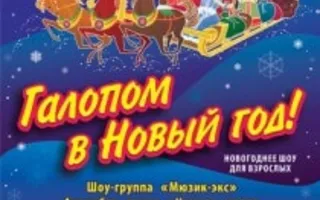 Новогоднее шоу «Галопом в Новый год» в СЦКиИ – декабрь 2013