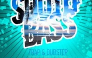 Вечеринка South Bass (TRAP & DUBSTEP) в клубе Asia – 7 декабря 2013