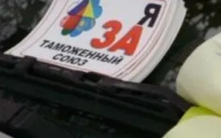 Всеукраинская акция «Я за Таможенный cоюз» 11 декабря 2013