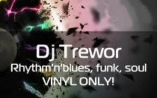 Dj Trewor в Café bar МоМо 13 декабря 2013