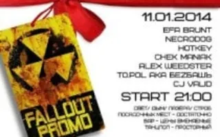 Новогодний подарок от Fallout Promo 11 января 2014
