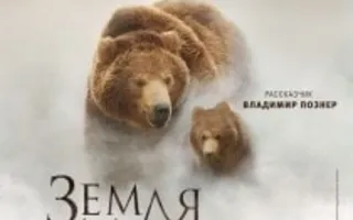 Земля медведей