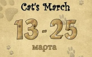 Кошачий март. Открытие выставки