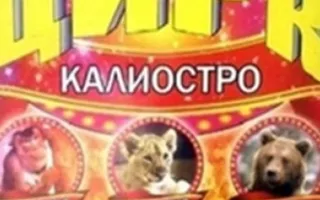 Харьковский цирк-шапито Калиостро
