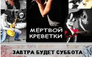 В ритме сердца
