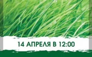 Воскресник GRASS CAFE 14 апреля 2013