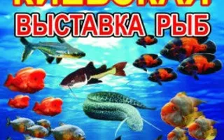 Выставка рыб из Киева в ТЦ Novus февраль-март 2014