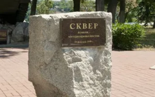​Шествие участников боевых действий от площади Нахимова до сквера воинов-интернационалистов 15 февраля 2014