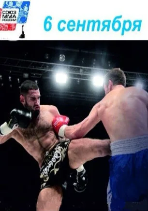 ​Чемпионат Севастополя по смешанному боевому единоборству