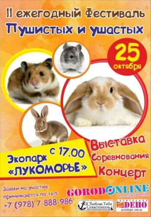 Фестиваль «Пушистые и ушастые» в экопарке «Лукоморье» ​25 октября 2014