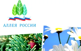 Всероссийская патриотическая акция «Аллея России» в Севастополе 9 мая 2014