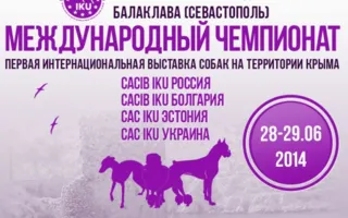 Выставка собак. Первый международный чемпионат собак в Крыму
