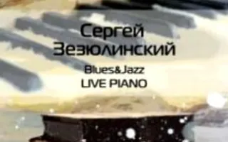 Сергей Зезюлинский в Café bar МОМО 30 июля 2014