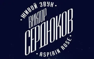 Виктор Сердюков «Aspirin Rose» в баре Spot 9 августа 2014