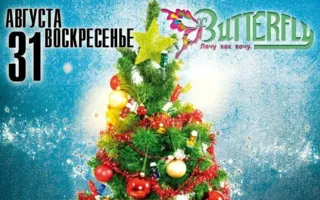 Вечеринка «Летний Новый год» в ночном клубе Butterfly