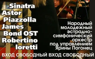 Музыкальная среда в «Атриуме»: Молодёжный эстрадно-симфонический оркестр ДДЮиТ 17 сентября 2014
