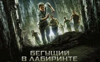 Бегущий в лабиринте