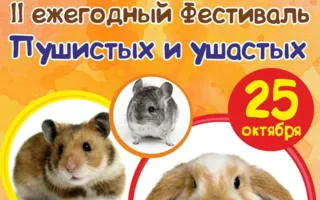 Фестиваль «Пушистые и ушастые» в экопарке «Лукоморье» ​25 октября 2014