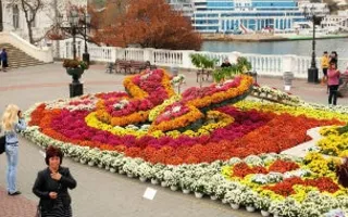 ​Выставка-продажа «Бал хризантем» на Приморском бульваре