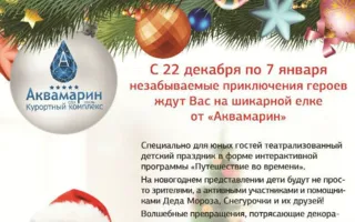Новогоднее представление в «Аквамарине»