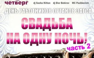 Вечеринка ​«Свадьба на одну ночь» в ночном клубе Butterfly 18 декабря 2014