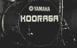 Музыкальная среда в «Атриуме»: группа «Kooraga»