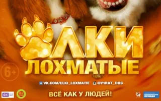 Ёлки лохматые