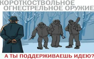 Дебатный клуб: тема «Легализация огнестрельного оружия»