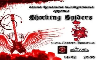 Группа «Shocking Spiders» в рок-баре «ВетеРок»