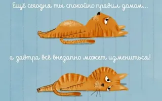 Детские чтения в «Атриуме»: Марта Алтес «Король кот»