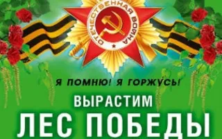 Проект «Лес Победы»: высадка деревьев