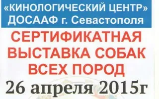 Выставка собак на стадионе КЧФ