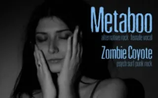 Группы Metaboo & Zombie Coyote в баре Spot