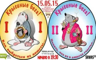 Финансовая игра «Крысиные бега»