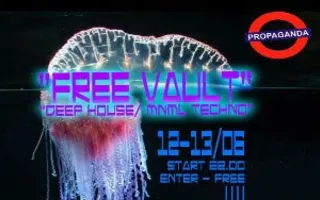 Вечеринка «Free vault» в арт-баре Propaganda