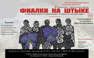 Спектакль «Фиалки на штыке» в СТЮЗ